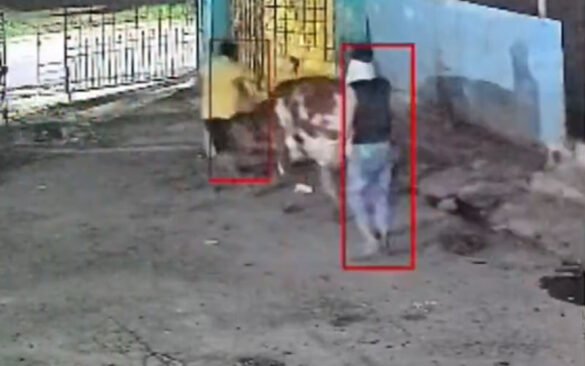 Cattle Theft and Dacoity